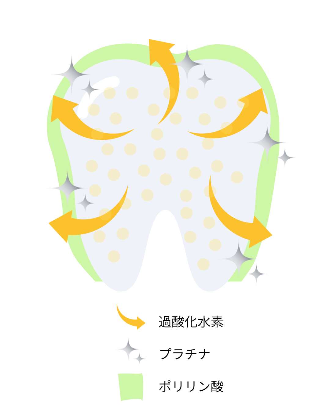 エステ・セルフとの違い