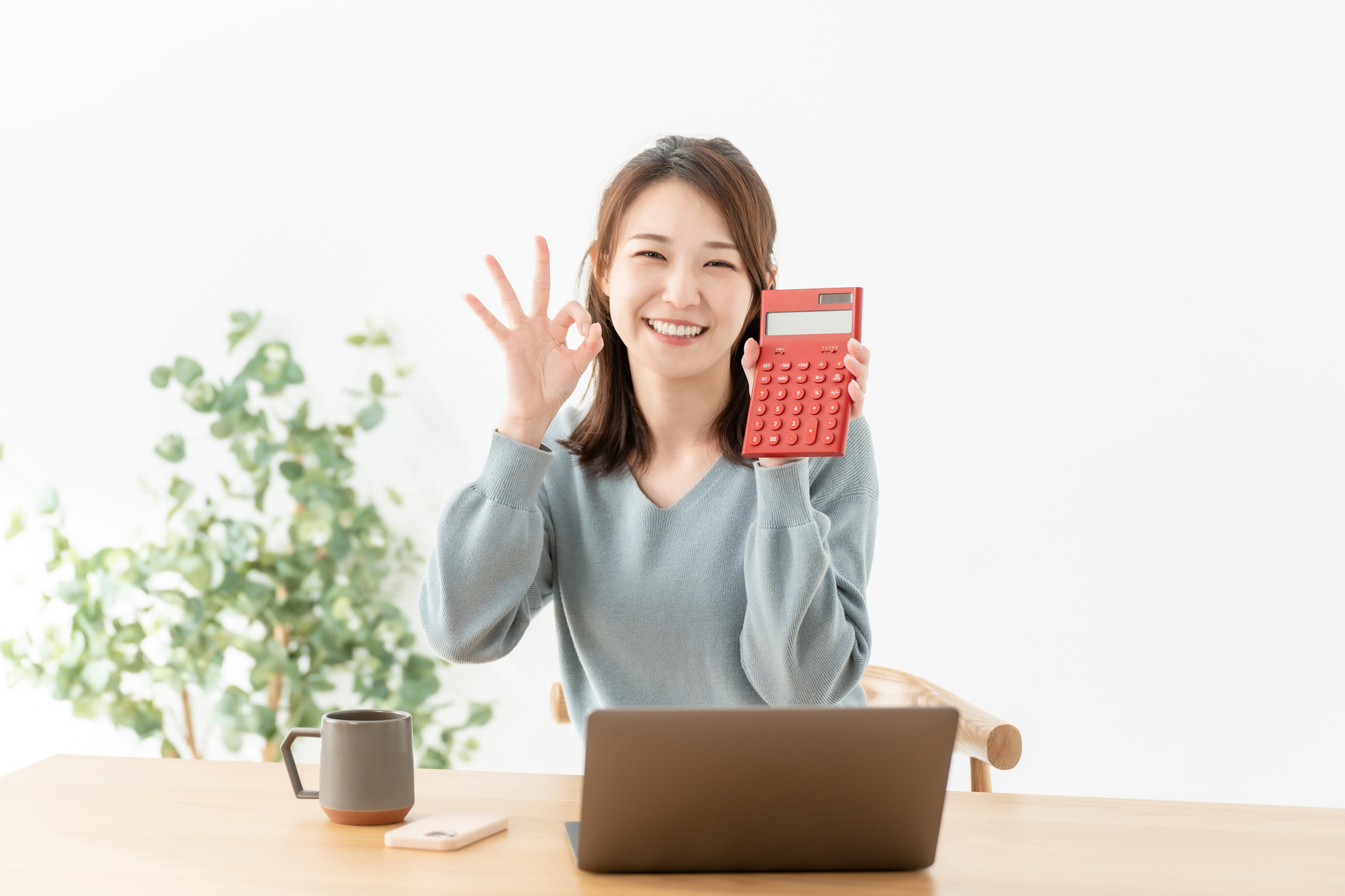 価格はオールインクルーシブ